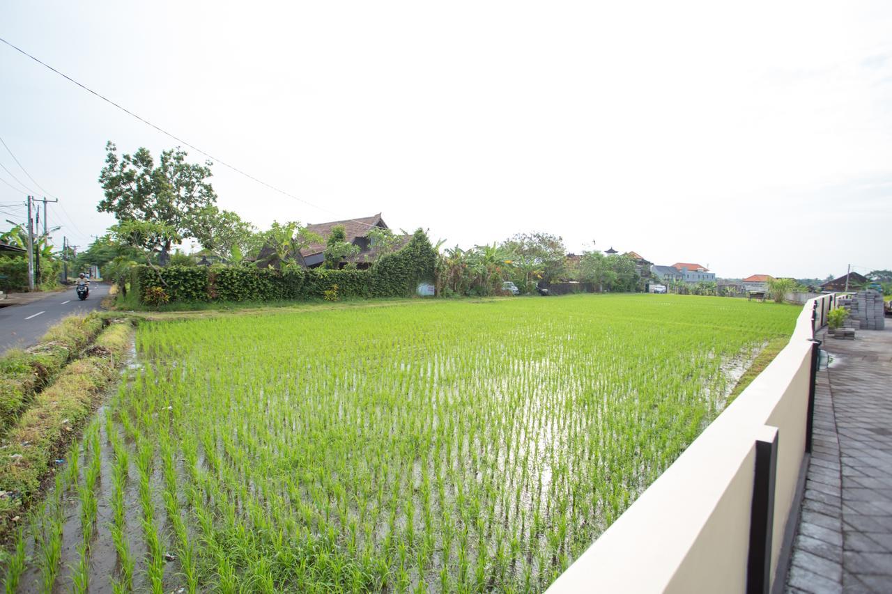 V Canggu Dormitory Exterior foto